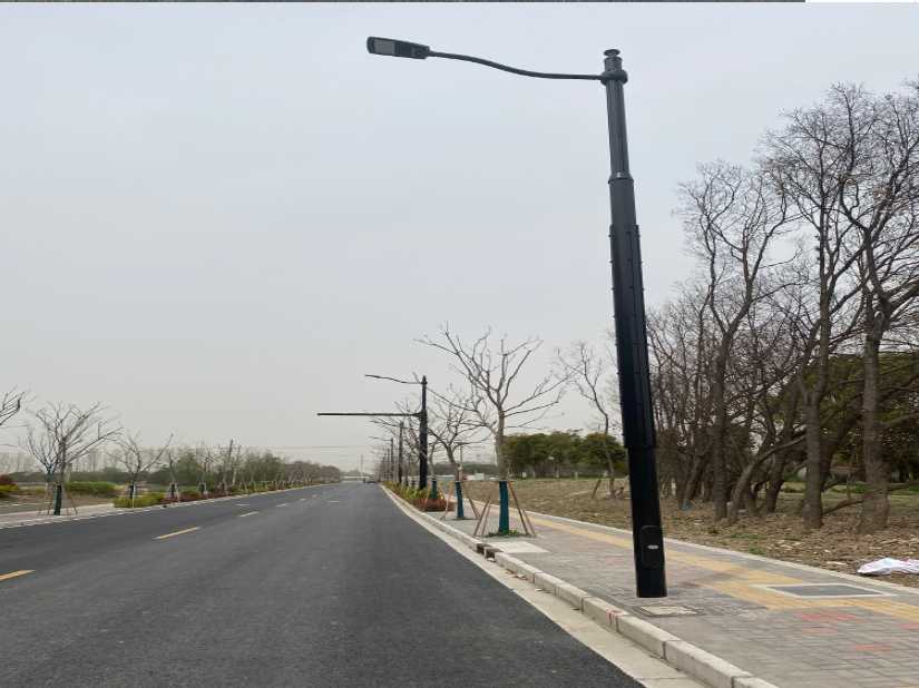 贡嘎县上海综合杆 太阳能路灯工程